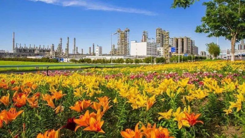 进口涂料树脂代理方案：揭秘行业选型关键