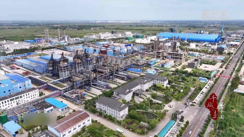工业添加剂分类标准规范：构建安全与合规的基石