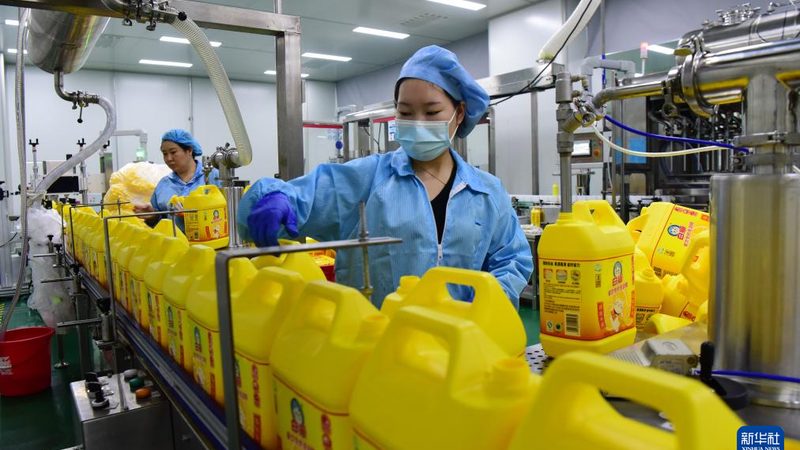 新材料标准规范定制：确保品质与合规的关键步骤**